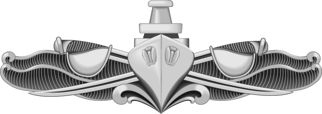 US Navy ESWS pin